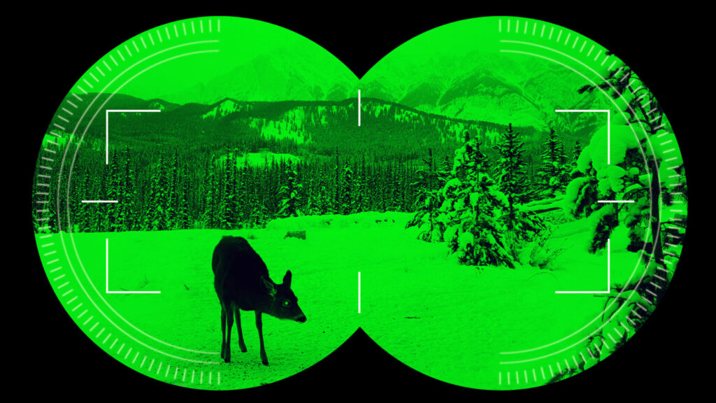 Advantages of Using the Night Vision Scopes