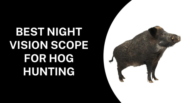 7 Best Night Vision Scope for Hog Hunting
