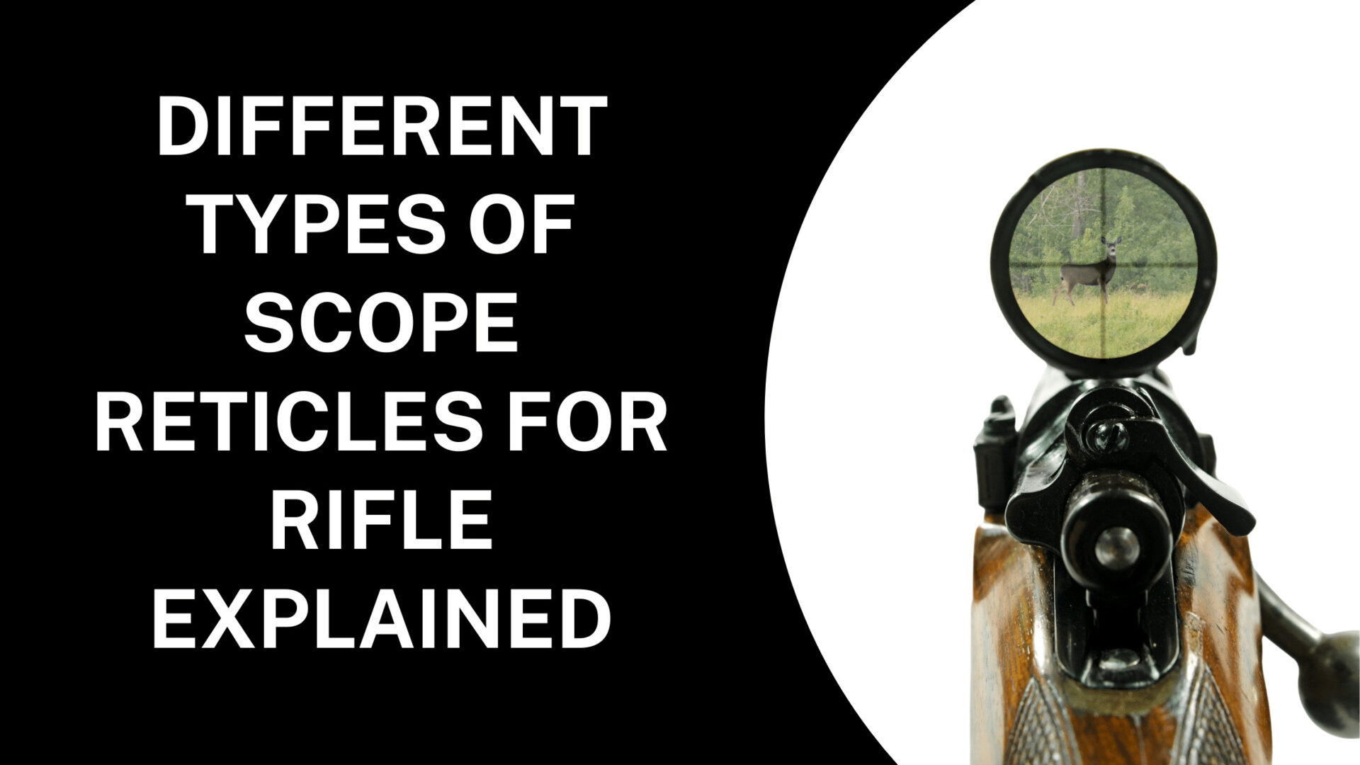 Different Types of Scope Reticles for Rifle: The Best One