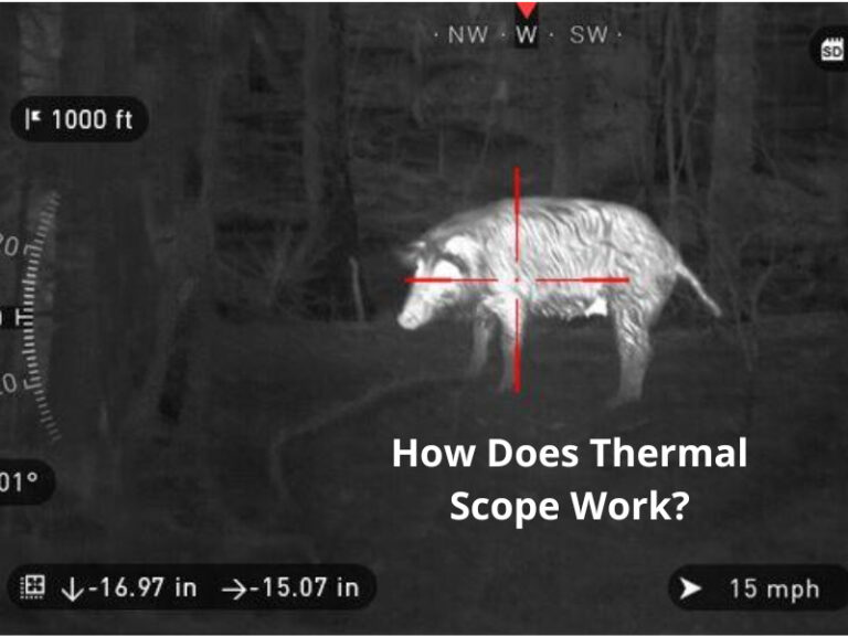 How Does Thermal Scope Work –  The Basic of Thermal Scope