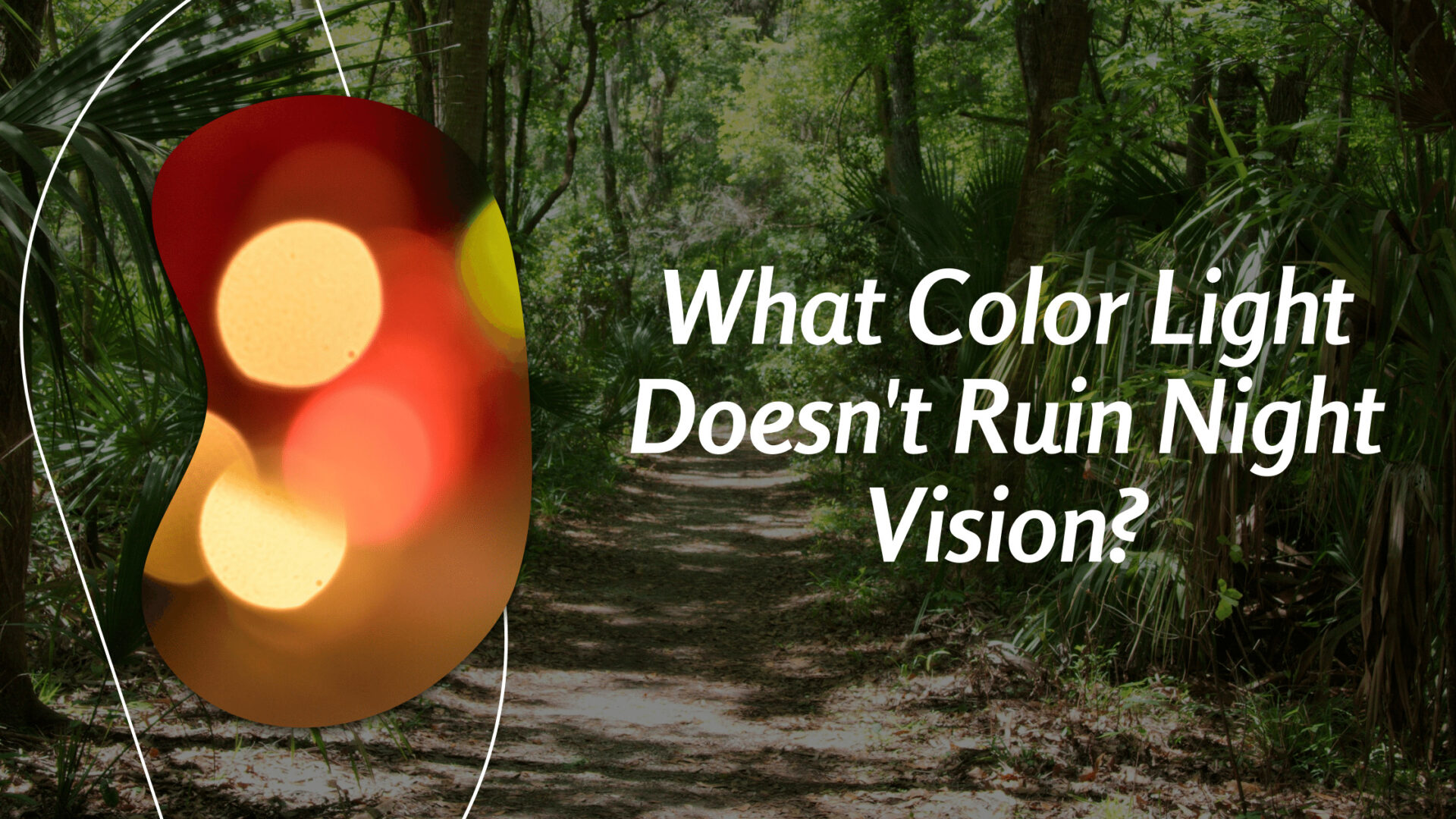 What Color Light Doesn't Ruin Night Vision?