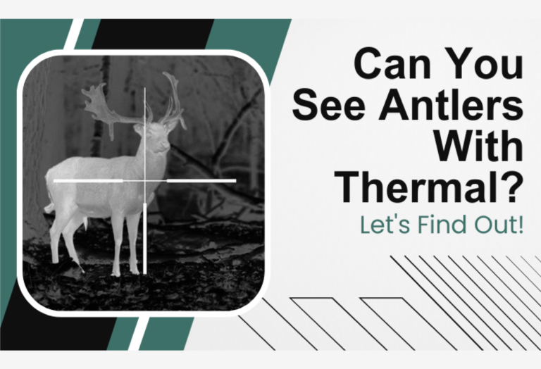 Thermal Imaging for Hunting: Can You Spot Antlers Using Thermal Vision Technology?