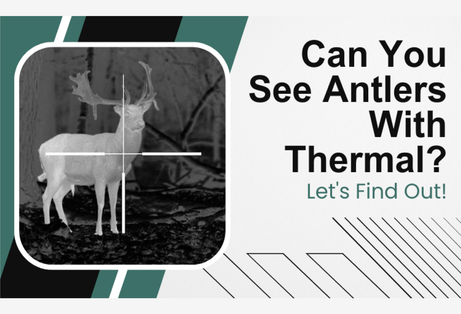 can you see antlers with thermal
